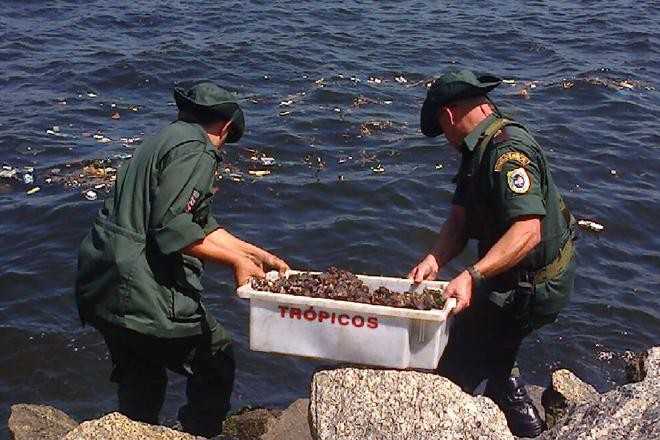 Pesca ilegal de camarão ameaça Baía de Guanabara